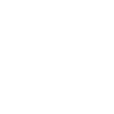 DR MR - Dr Mark Regi logo